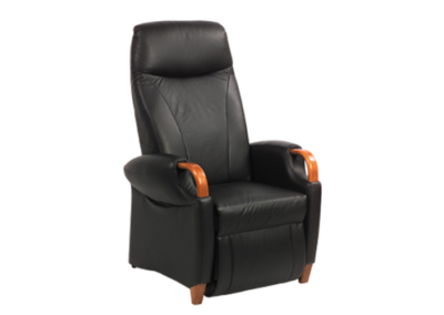 Fitform fauteuil model 232