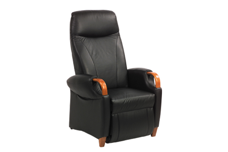 Fitform fauteuil model 232